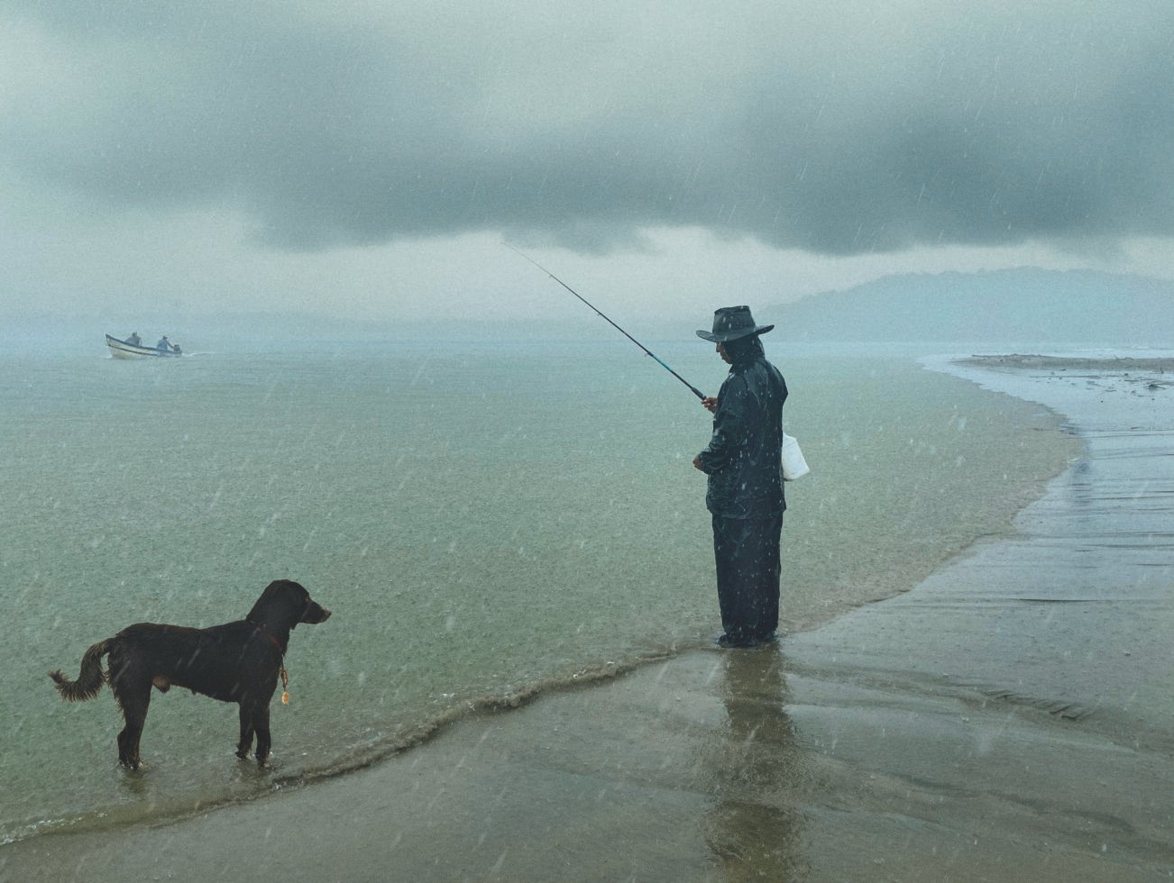 Rain Dogs