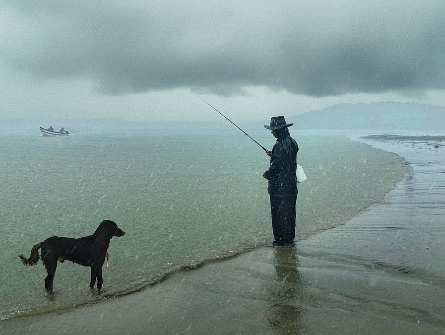 The Book of Wags: Rohit Chawla’s book on the beach dogs of Goa, is shot through with monsoon colours during the pandemic